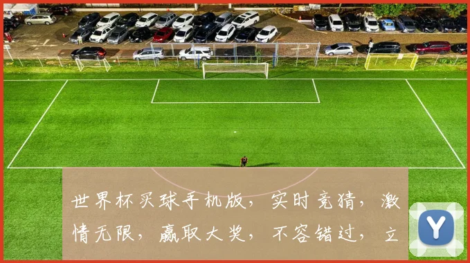 世界杯买球手机版，实时竞猜，激情无限，赢取大奖，不容错过，立即下载