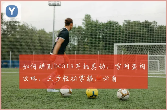 如何辨别beats耳机真伪，官网查询攻略，三步轻松掌握，必看