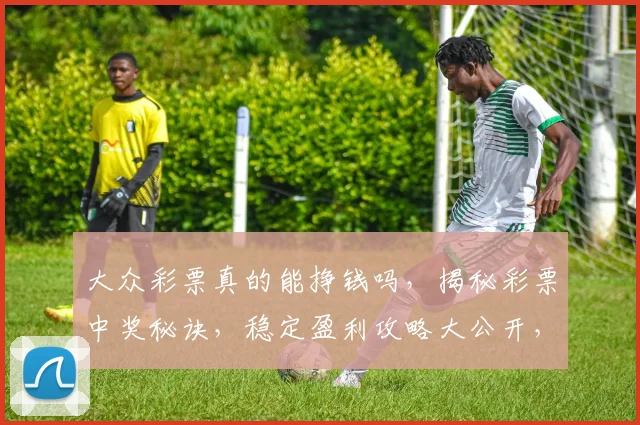 大众彩票真的能挣钱吗，揭秘彩票中奖秘诀，稳定盈利攻略大公开，实战经验分享