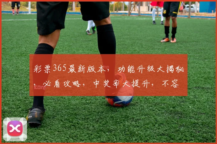 彩票365最新版本，功能升级大揭秘，必看攻略，中奖率大提升，不容错过
