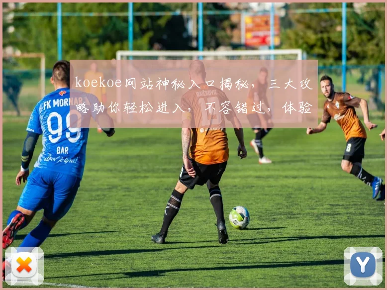 koekoe网站神秘入口揭秘，三大攻略助你轻松进入，不容错过，体验独特魅力，探索未知世界